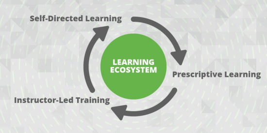 3 key elements in learning ecosystems graphic