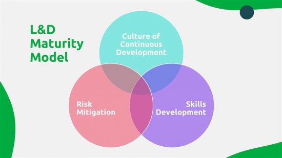 L&D Maturity Model: 3 Lenses